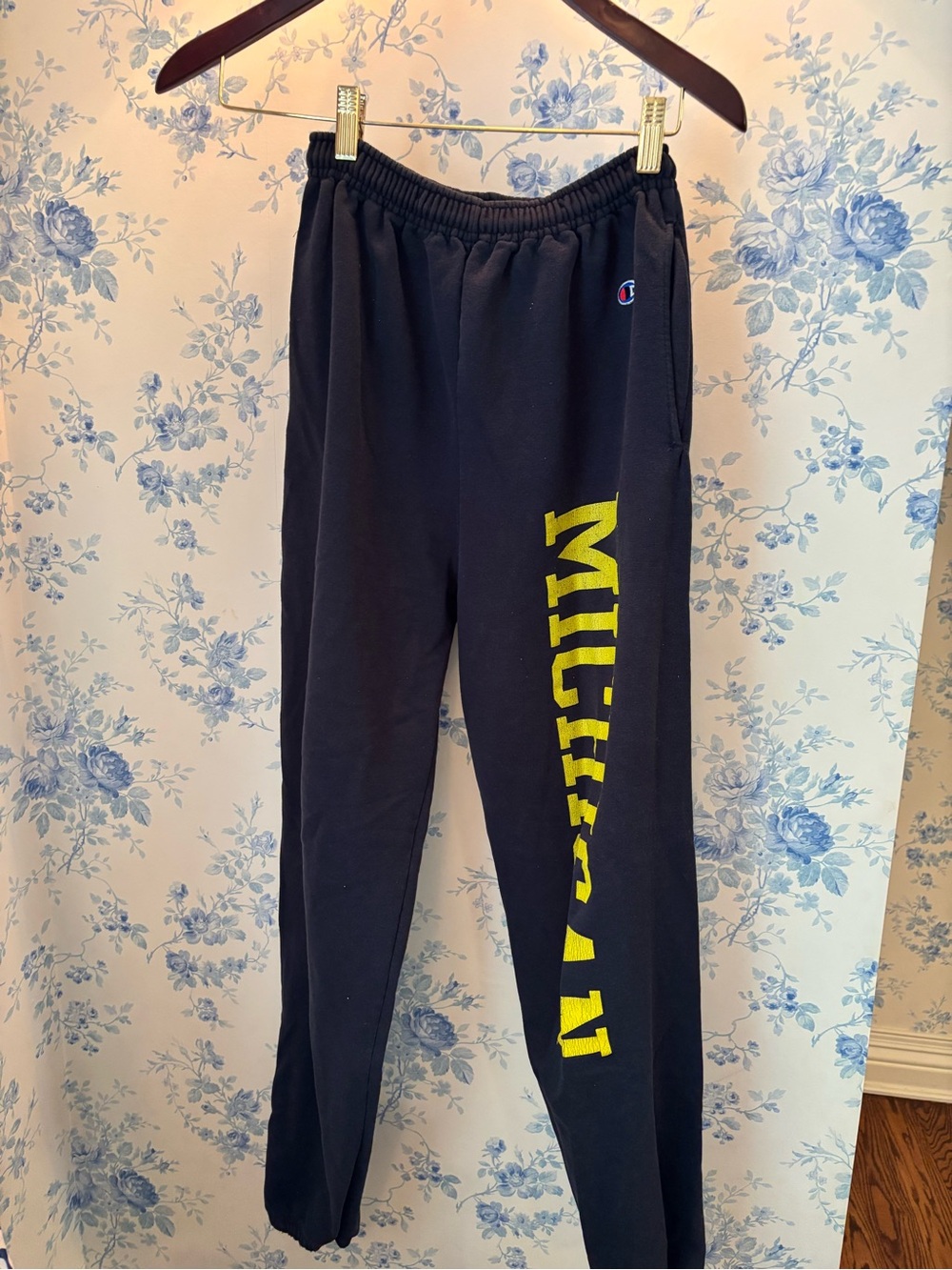 Champion University of Michigan Sweatpants